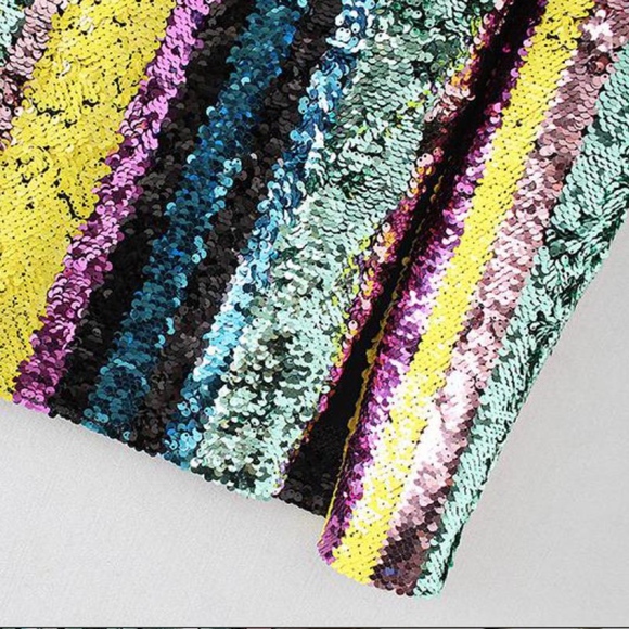 **LAST ONE SIZE SMALL** Sequin Stripe Skirt - Picture 3 of 7